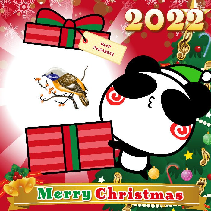 Aopanda Christmas Party 2022 #472